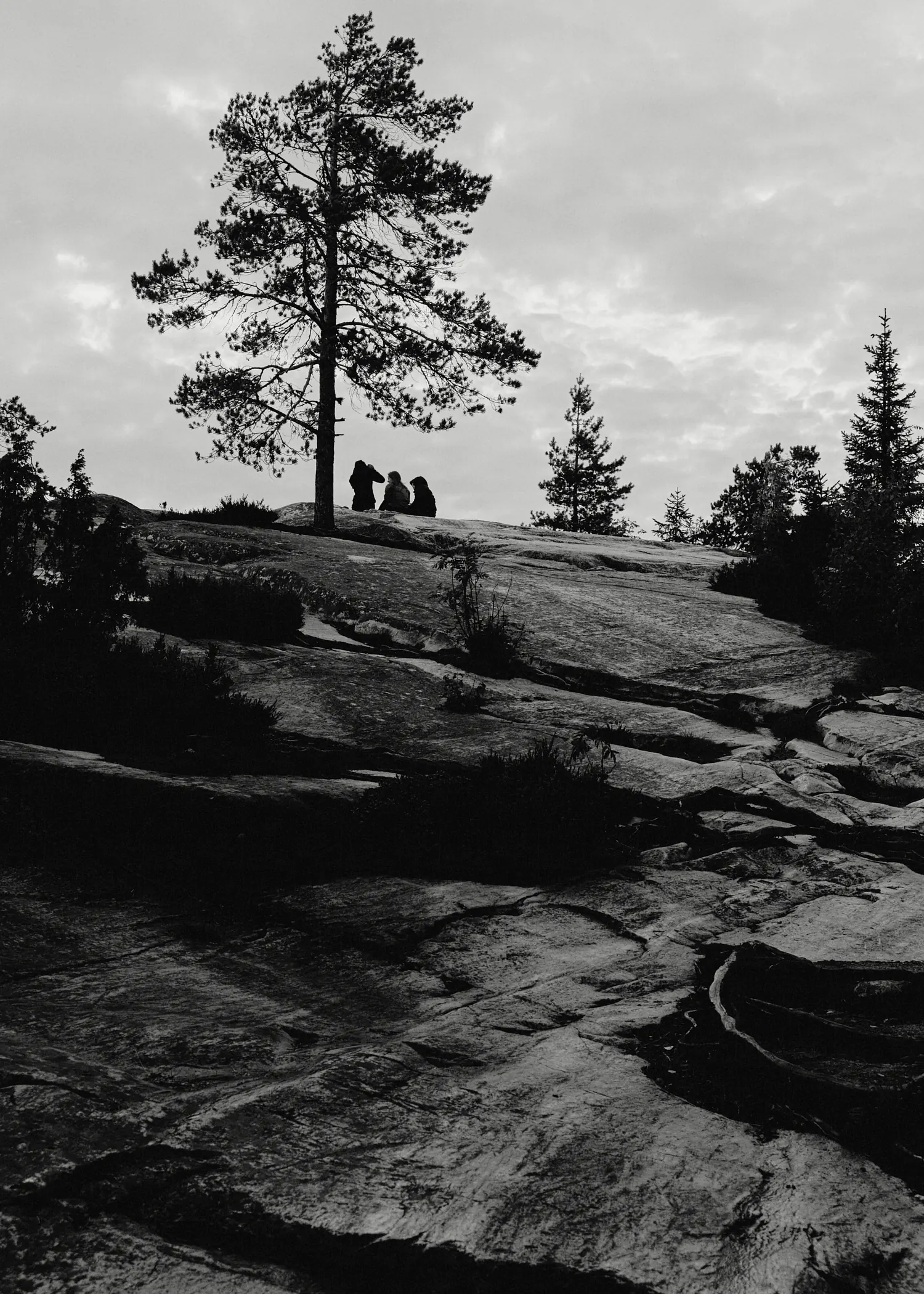 A black and white landscape showing the rugged rocky bedrock of Koli summit, with a solitary pine tree and three silhouetted figures resting at the top under a dramatic sky.