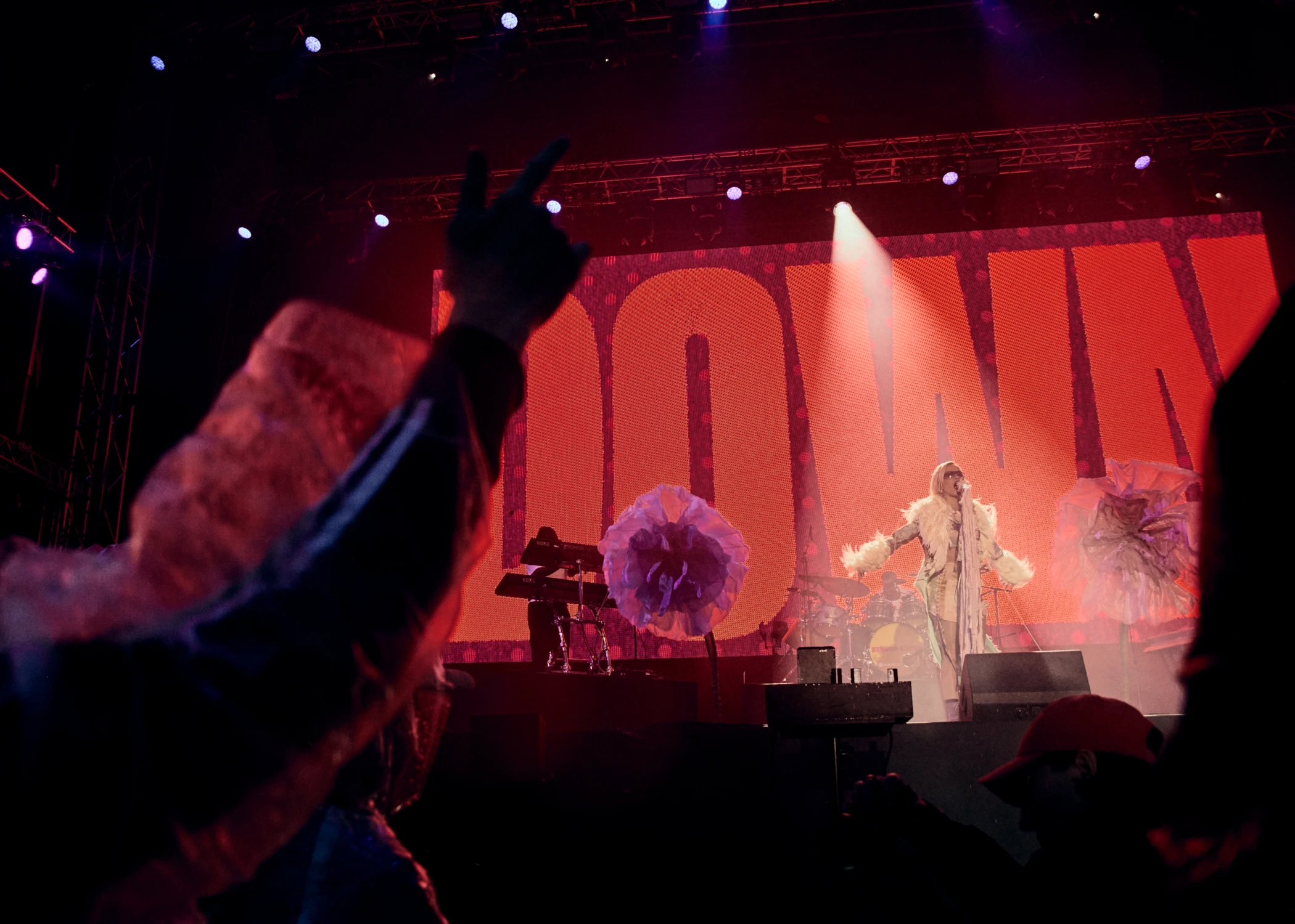 A view from the audience looking up at a performer in white on stage. A large screen behind them displays the word OWN in red letters, and an audience member's hand is raised in the foreground.